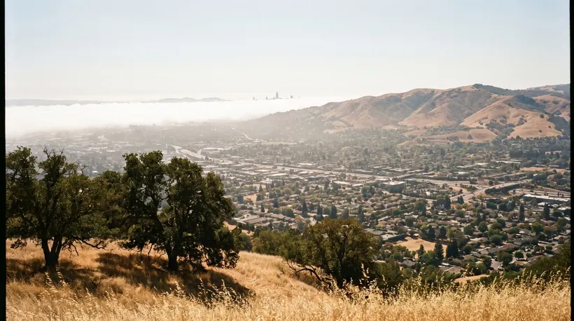Bay Area Heat Wave: The 24-Degree Gap Between Neighborhoods