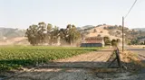 Builders Remedy Explained: 116 Homes Coming to Gilroy