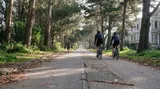 SF Bike Ridership Is Up 35 Percent. Does That Match Yours?