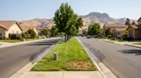 California Lawn Ban 2027: What Your Street Will Look Like