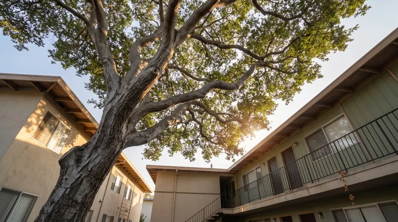 Mountain View Staff Sign Off on 216 Gamel Way Condos